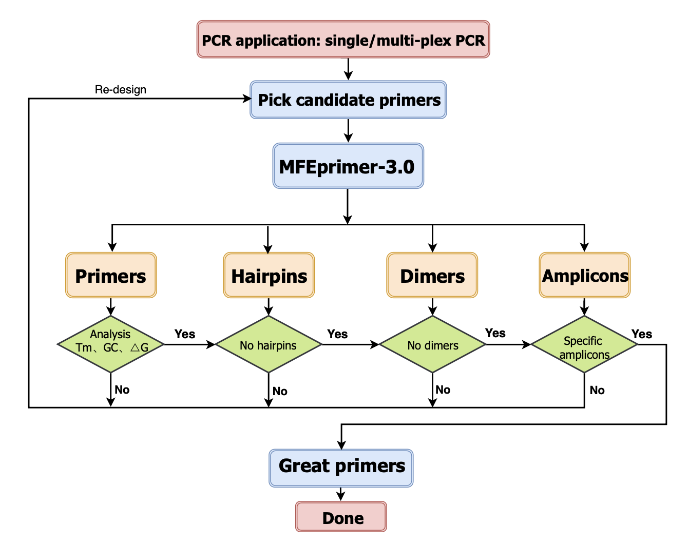 PCR primer design workflow